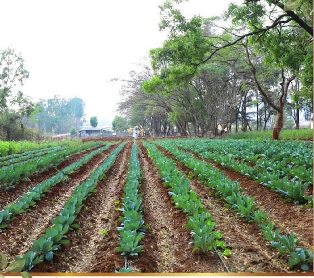 Whispering Woods Villa And Eco Farms Lonavala Εξωτερικό φωτογραφία